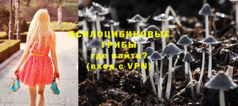 наркота  Нижняя Салда  Галлюциногенные грибы Cubensis 